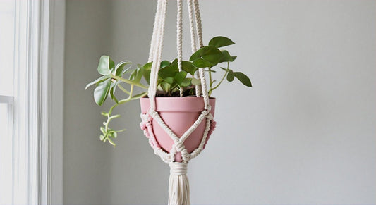 Love-Knot Elegance: DIY Macramé Plant Hanger for Valentine's Day - DiyCraftsProject