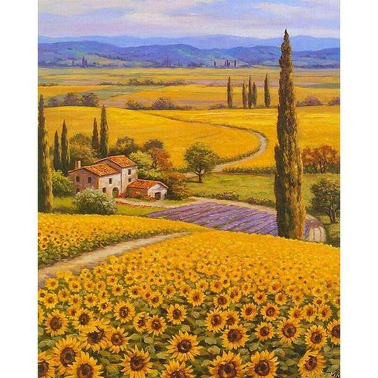 Sunflower Painting Farm Landscape Paint By Number Kit - 40cm x 50cm - DiyCraftsProject