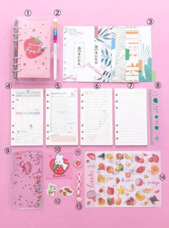 Pink diary journal set for girls cute agenda planner with stickers tapes and clips